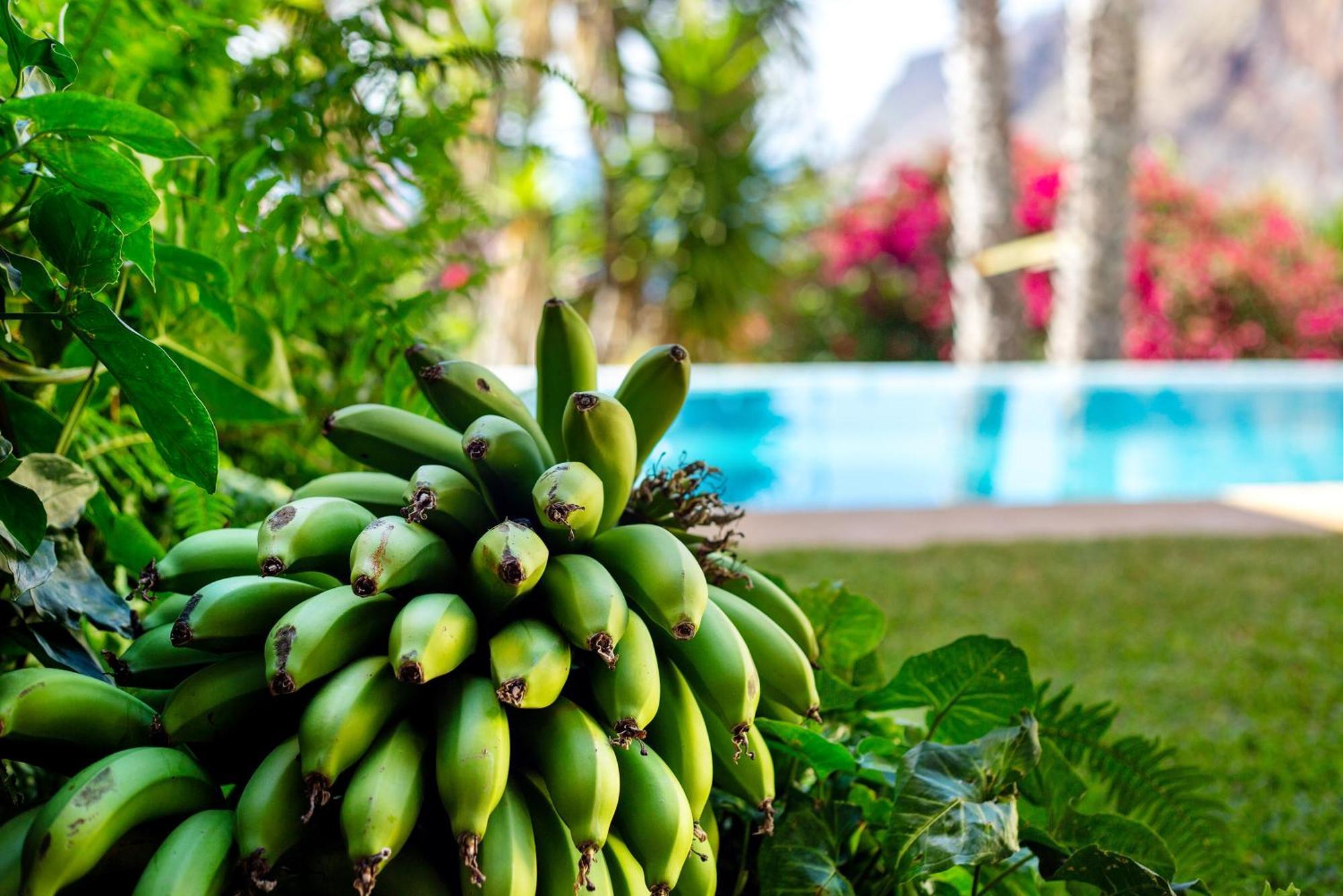 Vila Bela Vigia Jardim do Mar Exteriér fotografie